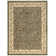 Weisgerber Floral Indoor Rug