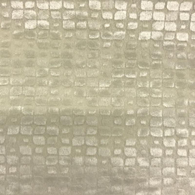 Embossed Velvet | Baxter Fabric_BAXTER