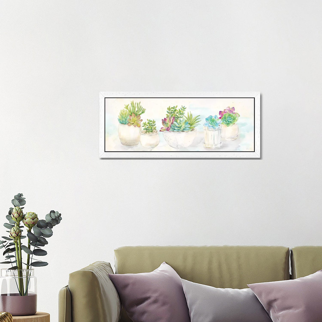Sweet Succulents Panel by Cynthia Coulter - Panoramic Painting on Canvas