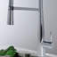 Belfry Kitchen Alessia Kitchen Faucet
