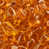 Orange mandarin