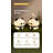 Cute Panda Night Light