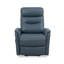 Fauteuil inclinable électrique lève-personne de 31,5 po avec port USB Akeelah-98419946