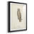 " Scops- Eared Owl "-149496605-149496595