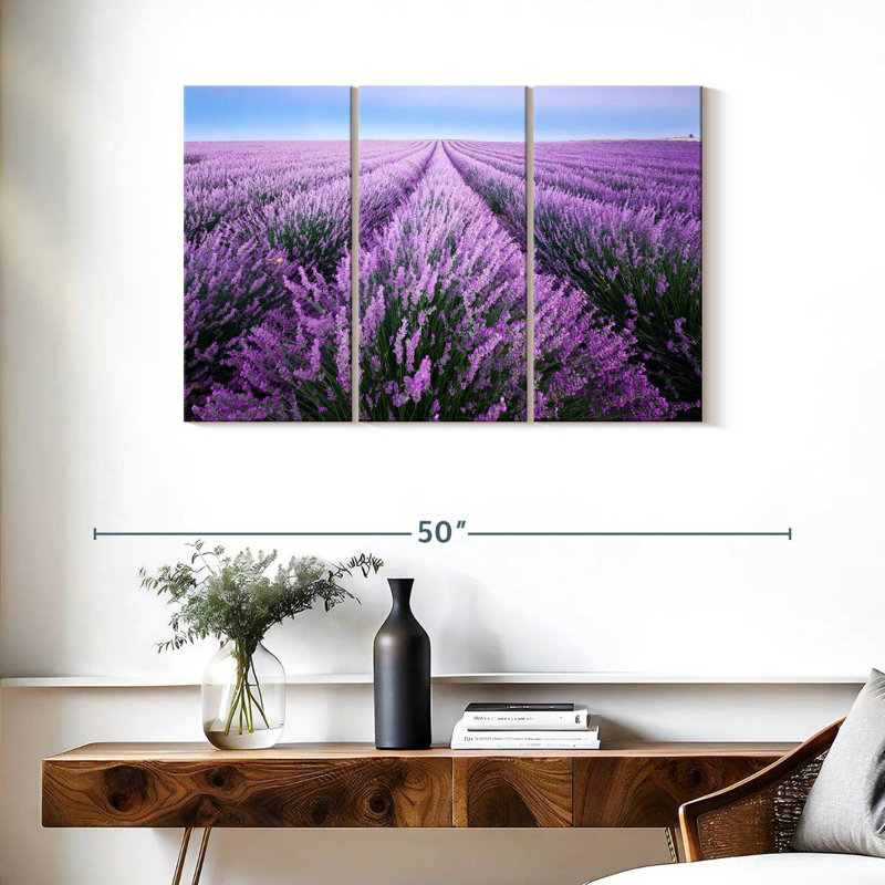 Champ de lavande d'Alvord en Provence, H 24 po x l 38 po