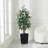 Adcock UV Protected Artificial Ficus Tree with Decorative Base, Faux Ficus Plant with Natural Trunk-1914722520-1914722527