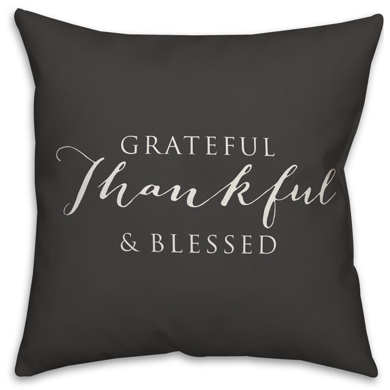 Textual Outdoor Throw Pillow, 16" H x 16" W, Black/White