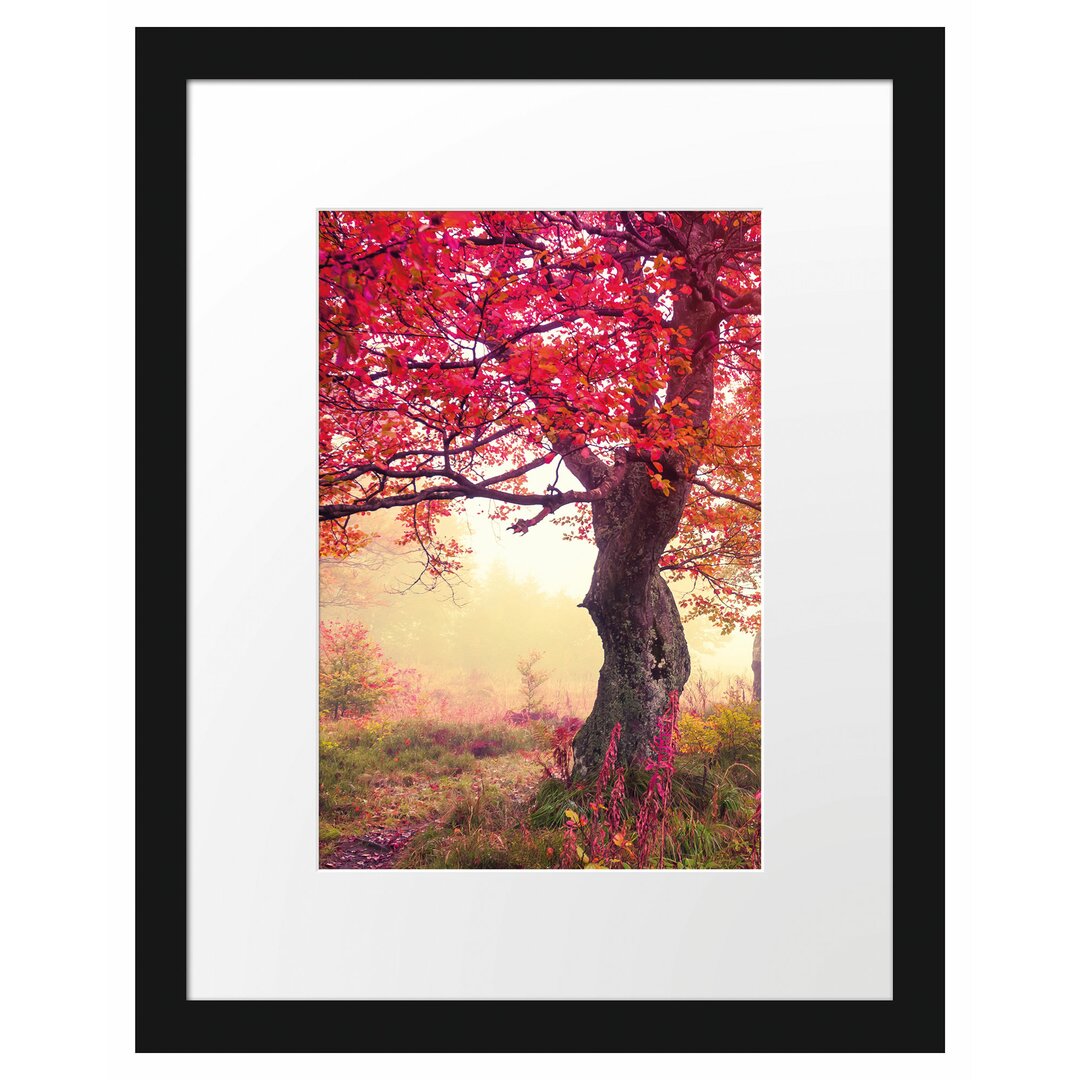 Gerahmtes Poster Traumhafte Herbstlandschaft