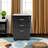 Mobile Storage Cabinet With Locking Drawers And File Compartment