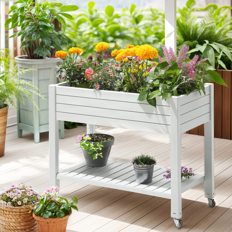 Lit de jardin en résine blanche pour plantes et fleurs
