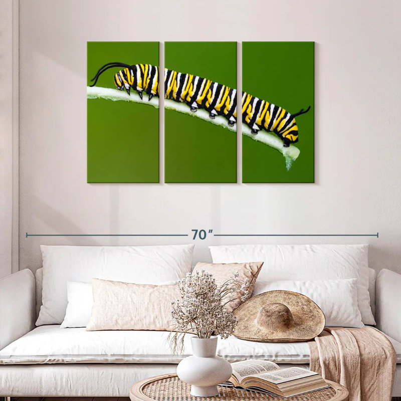 Striped Monarch Caterpillar, 20" H x 33" W