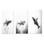 Danse du requin gris monochrome-1487123087-1487123080