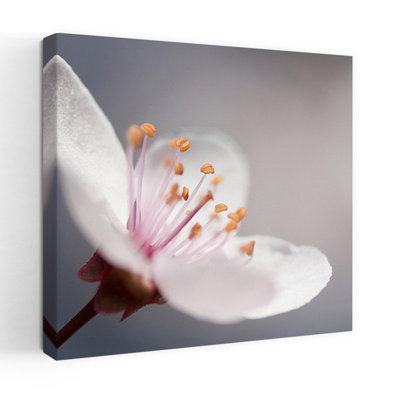 Cherry Flower 1 Contemporary Flower Art