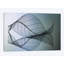 Curvaceousness - Impression sur toile-33084026-72222278-72222279