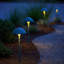 Éclairage d'extérieur en aluminium champignon 120V Mushroom