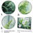 " Ferns Romantic Impression V "-1302497553-1302497547