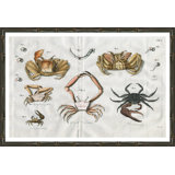 Summer Crabs Giclee Print by Soicher Marin Archives