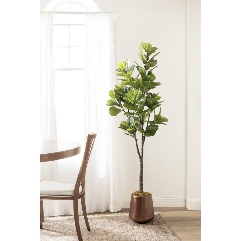 Figuier en figuier avec pot Portell, Brun, H 70,87 po x l 27,56 po x P 23,62 po