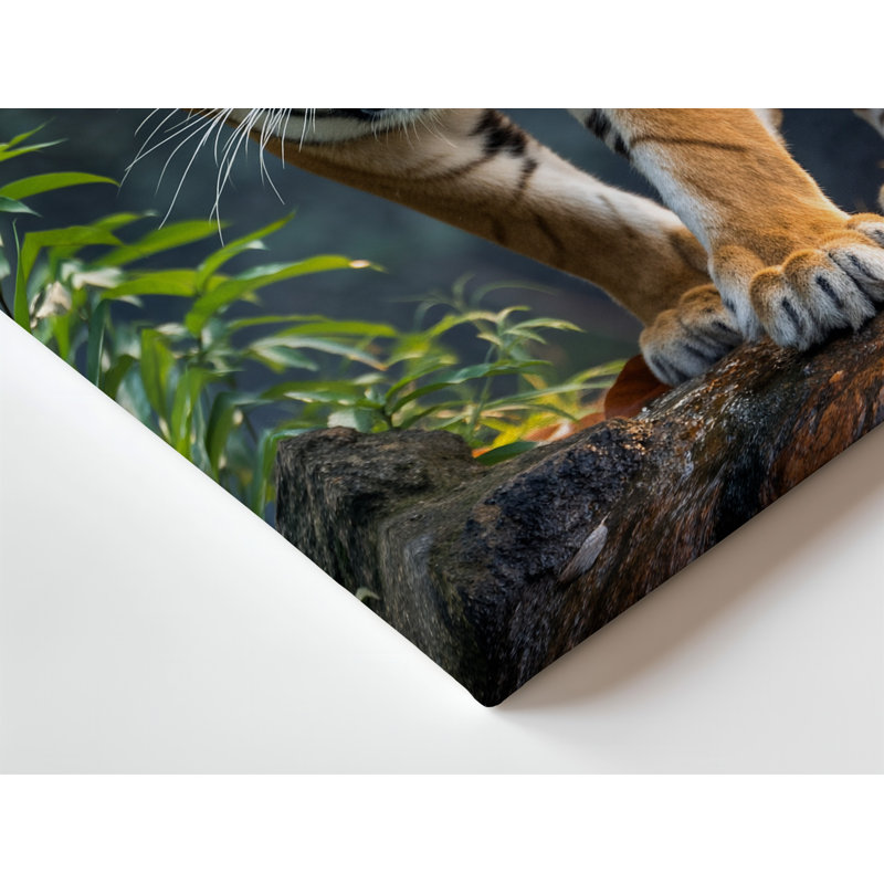 Toile, un tigre féroce et puissant rôde devant son regard intense, fixé devant, H 16 po x l 20 po