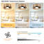 11.81cm Ceiling Fan with LED Lights