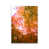 Wrapped Canvas is unavailable