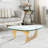 Home Modern Triangle Coffee Table