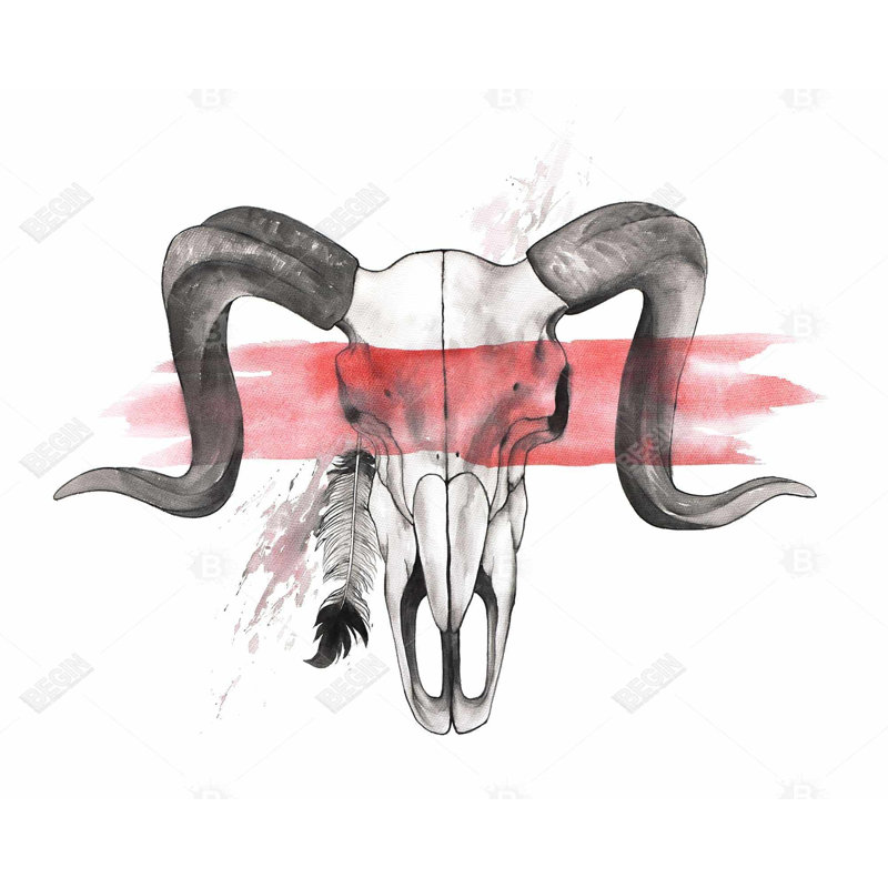 " Aries Skull With Feather "
