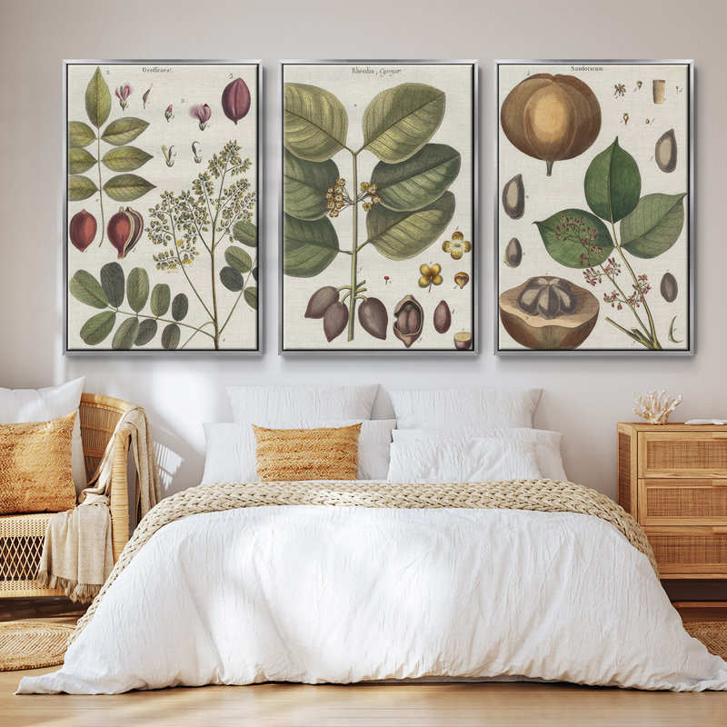 Ensemble de 3 cadres photo sur toile Antique Foliage and Fruit VI, Argent, H 36 po x l 72 po
