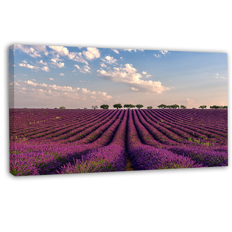 Champ de lavande brillant en Provence - reproduction de photo sur toile tendue, H 28 po x l 60 po