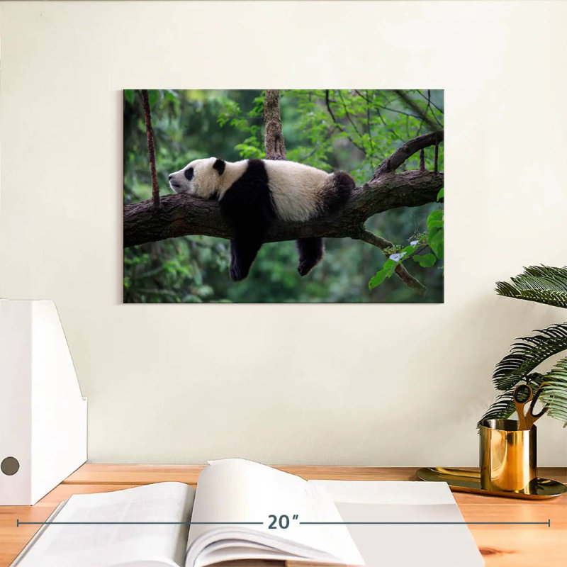 Panda Sleeping On Tree, 8" H x 12" W