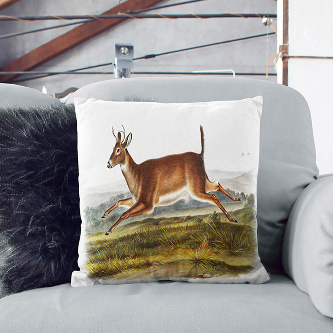 Long-Tailed Deer by J.W. Audubon Cushion with Filling