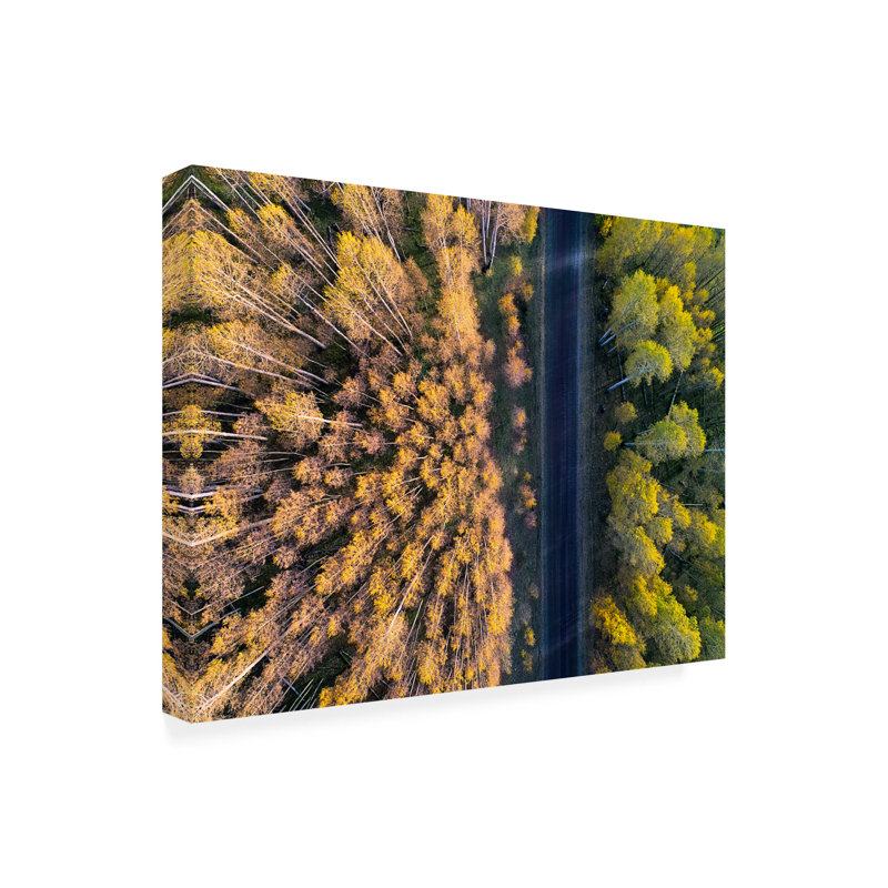 Art sur toile Mei Xu Divide, H 24 po x l 32 po