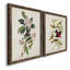 Pl 103 Canada Warbler - Ensemble de 2 reproductions d'art sur toile-1024420333-1024420243