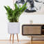 Dotted Style Cylinder Planter with Feet-901821042-901821045