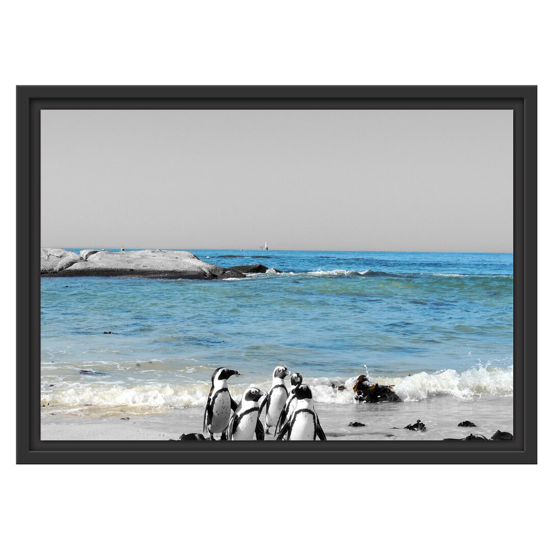 Gerahmtes Wandbild lustige Pinguine am Strand