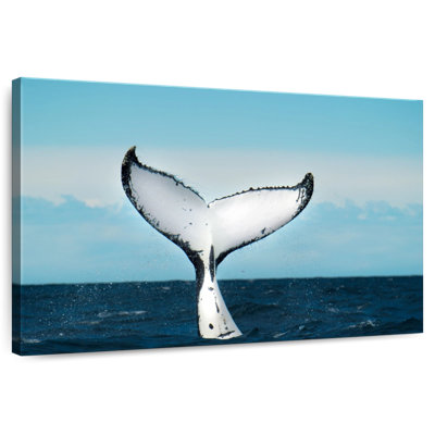 Brampt Whale Fluke