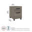 16" W 2 -Drawer Mobile Vertical Filing Cabinet-70781255