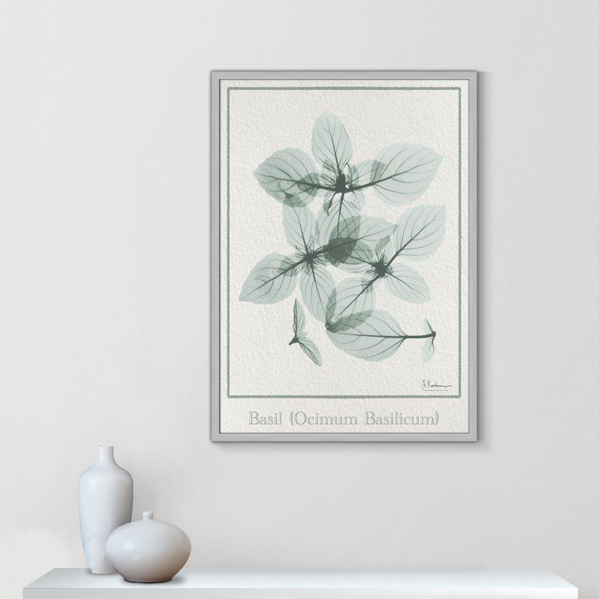 Basil Ocimum Basicicum Framed On Paper by Albert Koetsier Print, 35.5" H x 25.5" W x 1.25" D, Matte Silver Framed Paper