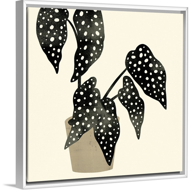 Art mural sur toile Plantling III, H 22 po x l 22 po, Toile avec cadre blanc