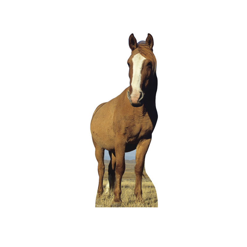 Life-Size Brown Horse Cardboard Stand-Up Display