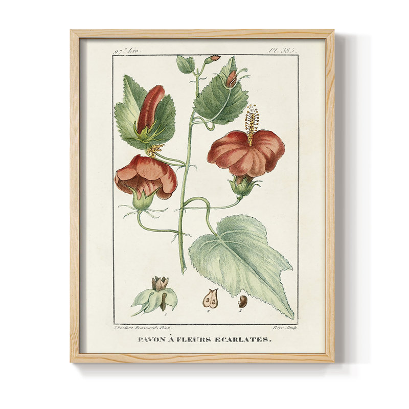 Reproduction encadrée Turpin Tropical Botanicals IV - bois massif