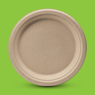 Paquet de 150 assiettes en papier blanc compostable de 9 pouces, assiettes jetables biodégradables robustes