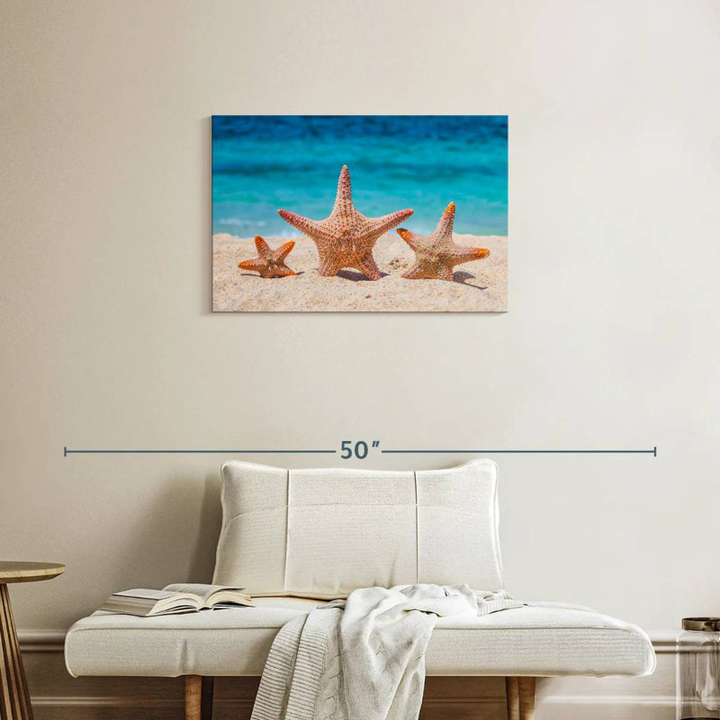 Starfish trio Aletra, H 20 po x l 30 po