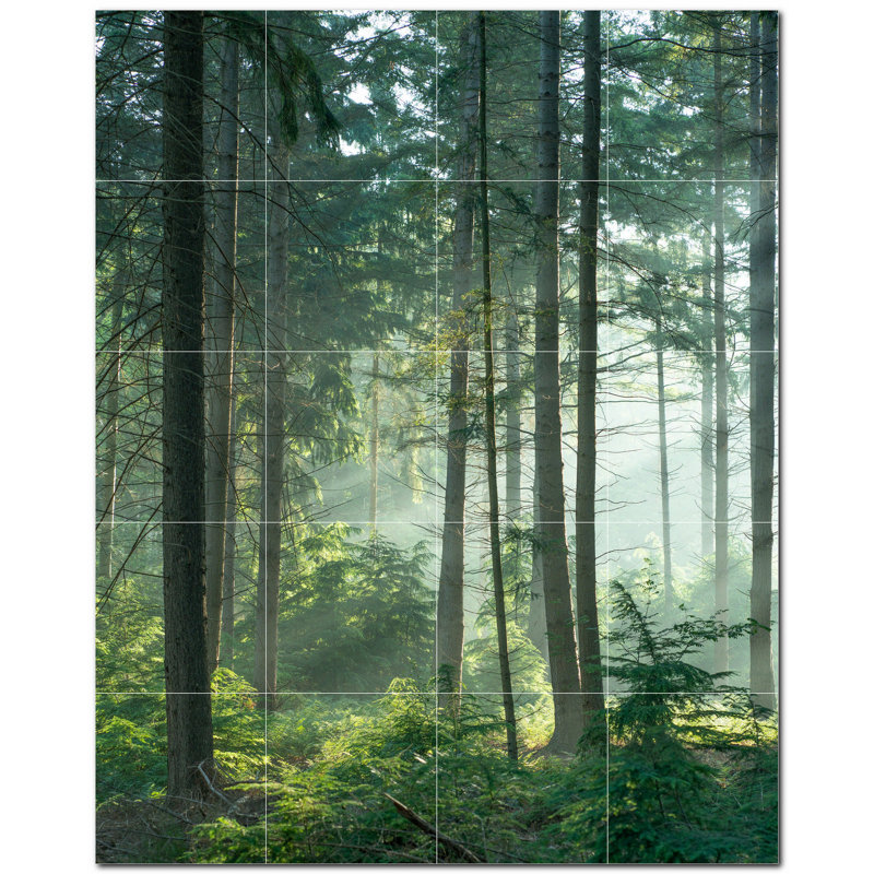 Trees Photo 8'' x 8'' Satin Ceramic Decorative Mural