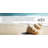 Salt Mist and Sand Scented Votive Candle
