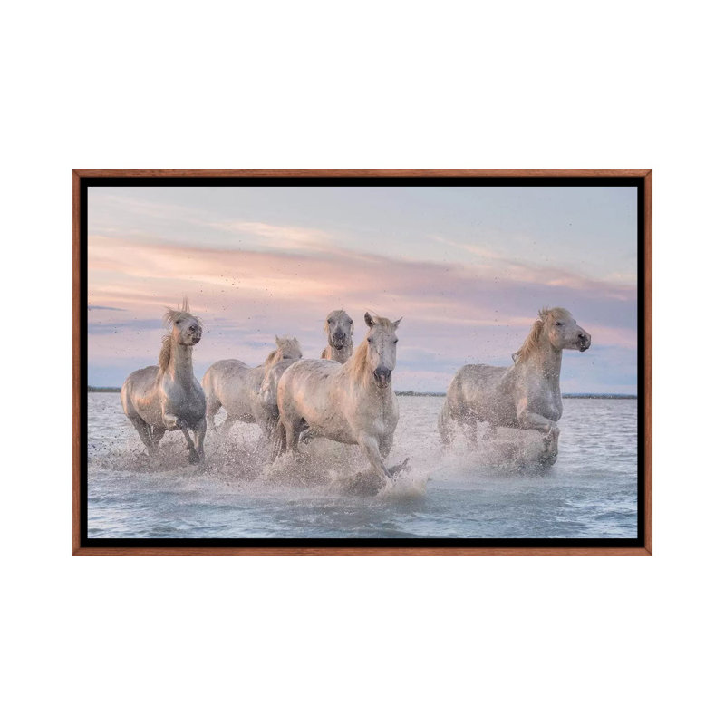 White Angels Of Camargue XXXI by Daniel Kordan - Print on Canvas, 101.6 cm H x 66.04 cm W, Classic Brown Wood Framed