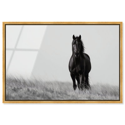 Lone Stallion I Print