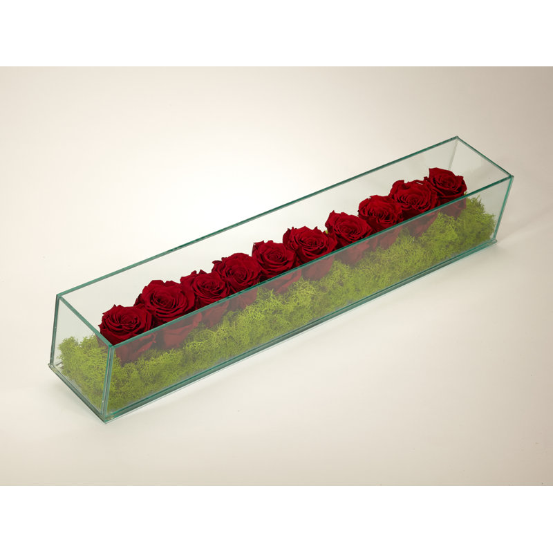 Roses préservées dans un cadre en verre rectangulaire, Bourgogne