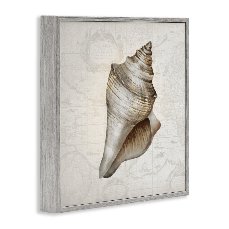 Conch Shell sur carte rétro, estampe numérique, conception par Conrad Knutsen, H 24 po x l 24 po, Estampe numérique Farmhouse