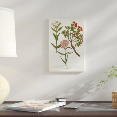 « botanique varietes iv », impression sur toile